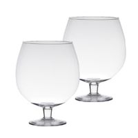 Set van 2x stuks transparante luxe stijlvolle Brandy vaas/vazen van glas 20 cm