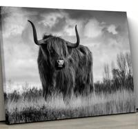 Zwart en wit hooglander canvas schilderij