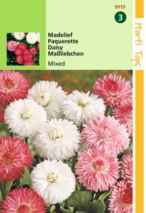 Bellis Perennis Monstrosa Gemengd - Hortitops
