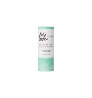 Deodorant stick mighty mint