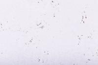 Kurk Kurk Tegel Snow 3 mm dik - 2096