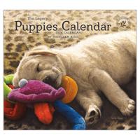 Puppies Kalender 2026