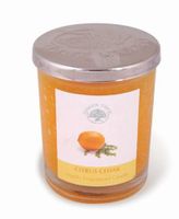 Green Tree Geurkaars citrus cedar glas (200 gr)