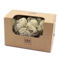 HBX Natural Living Decoratie mos - wit/naturel - 50 gram - rendiermos - hobby