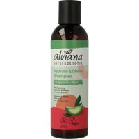 Shampoo hydrate en shine voor beschadigd haar