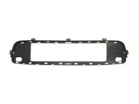 Ventilatiegrille, bumper 6502070096999P