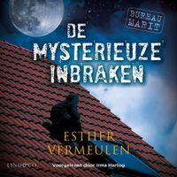 Bureau Marit - De mysterieuze inbraken