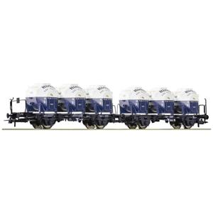 Roco 6600053 H0 dubbele wagon van de DB