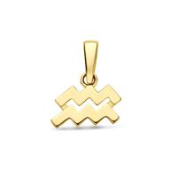14k Geelgouden Hanger Sterrenbeeld Waterman - Per Stuk