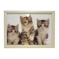 Laptray Drie kittens - thumbnail