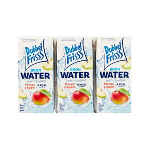 DubbelFrisss Bronwater met Fruitsap Mango & Appel 0,2 L bij Jumbo