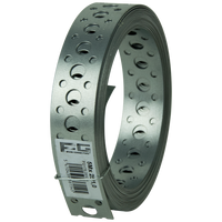 pgb-Europe FG | Gaatjesband recht 5m 25x1 Zn FG017500125105 | 10 stuks