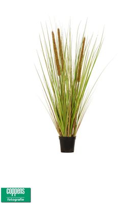 Gras curve pvc 104cm