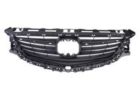 Radiateurgrille 6502073453990P