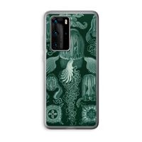 Haeckel Cubomedusae: Huawei P40 Pro Transparant Hoesje