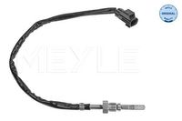 Sensor, uitlaatgastemperatuur 5148000029