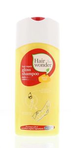 Hair repair gloss shampoo blonde hair