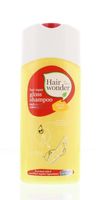 Hair repair gloss shampoo blonde hair