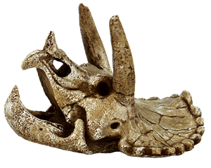 Superfish Skull Triceratops M - Prehistorische Decoratie en Veilige Schuilplaats voor Aquarium