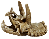 Superfish Skull Triceratops M - Prehistorische Decoratie en Veilige Schuilplaats voor Aquarium