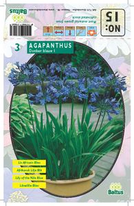 Zomer Bloembollen Agapanthus, Donkerblauw per 3 - Baltus