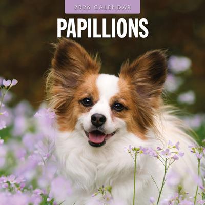 Papillon Kalender 2026