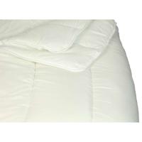 Leen Bakker - Polydaun Home Collection Dekbed Micro - 4-seizoenen - 140x200 Cm - Synthetisch - Wit