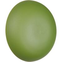 LED Wandlamp - Trion Phelix - 1 Lichtpunt van 1.5 Watt - Warm Wit 3000K - Aanraakschakelaar - Op Batterijen - IP20 - Groen - Metaal