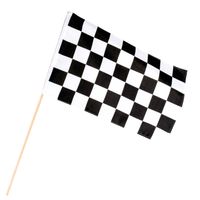 Boland Zwaaivlag Racing - thumbnail