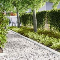 VidaXL Tuinrand 50 pcs wit 100 x 0.05 x 20 cm koudgewalst staal