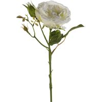 Kunstbloem roos Anne - creme wit - 37 cm - decoratie bloemen   -