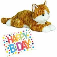 Pluche knuffel kat/poes rood 30 cm met A5-size Happy Birthday wenskaart - Knuffel huisdieren - thumbnail