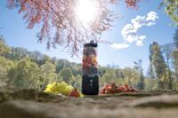CONCEPT Draadloze Smoothie Blender SM4001