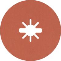 Bosch Accessories 2608621811 Fiberschijf Diameter 125 mm Korrelgrootte (num)=120 5 stuk(s)