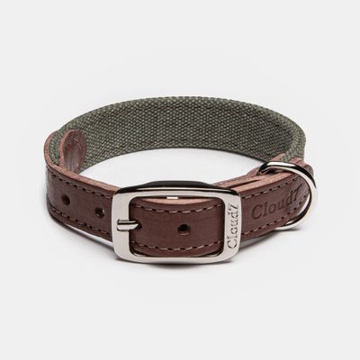 Cloud7® Hondenhalsband Tivoli, olijf, Maat: XL