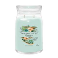 Yankee Candle Aloe & agave signature large jar