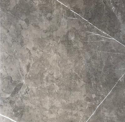 Vloertegel Ciana Mist Poli 60x60 rect