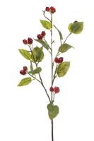 Raspberry spray red 90 cm Emerald - Emerald