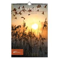 Saskia Boelsums Verjaardagskalender