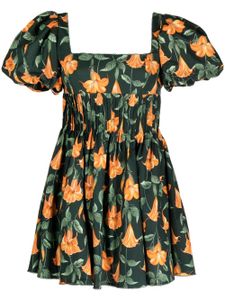 Agua By Agua Bendita robe Caramelo Sabanero Nocturo à fleurs - Vert