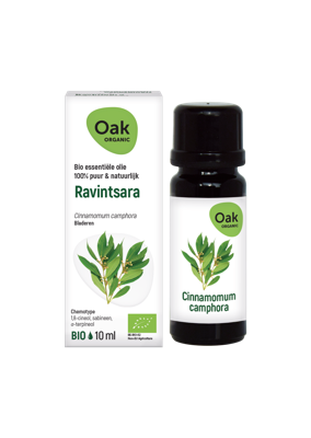Oak Organic Olie Essential Oils Ravintsara 10ml Oak Organic Olie Essential Oils Ravintsara 10ml