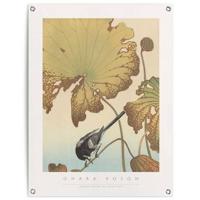 Reinders - Ohara Koson&apos;s Wagtail and Lotus - Tuinposter 80x60cm