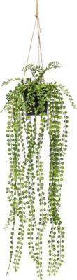 Hangplant met pot 4 - Driesprong collection