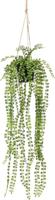 Hangplant met pot 4 - Driesprong collection