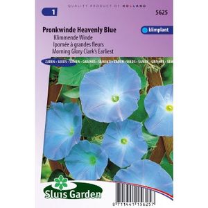 Ipomoea Tricolor zaden Heavenly Blue klimmende winde