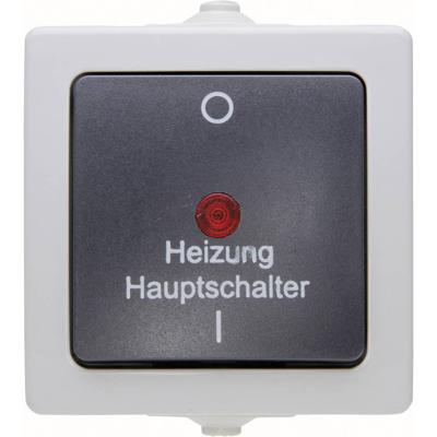 Kopp 565356002 Nautic Verwarmingsnoodschakelaar spatwaterdicht Grijs 1 stuk(s)