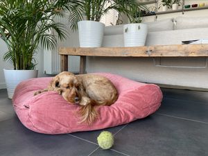 Dog's Companion® Hondenbed oud roze ribcord large