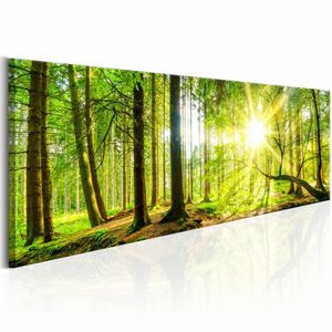 Schilderij - Zon door de Bomen - Panorama, groen, premium print op canvas, 1luik 120x40cm