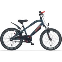 Alpina Trial Jongensfiets 20 inch