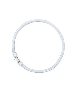 FC 55W/830  - Fluorescent lamp ring shape 55W 16mm FC 55W/830